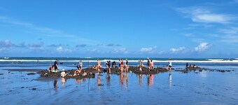 Cozy Pet-Friendly Bach – Relax, Unwind or go Fishing!