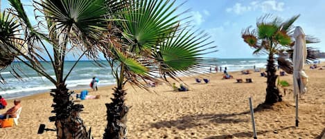 Playa en los alrededores