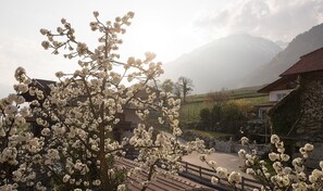 Ein Wohngebiet mit Steinhäusern, einem gepflasterten Weg und einem Baum mit weißen Blüten.