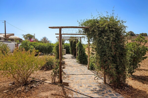 A stone pathway leading through a garden with a wooden pergola structure.