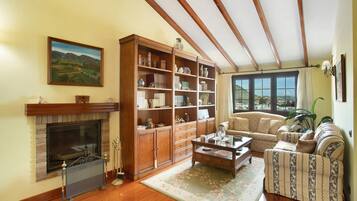 TV, fireplace, video games, DVD player