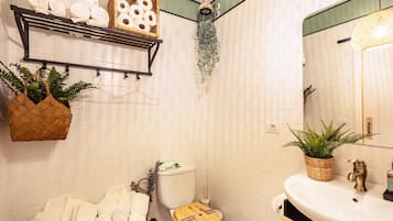 Ducha, secador de pelo, toallas