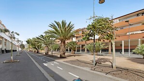 A street with a bike lane, palm trees, and multi-story buildings. - Vacation Apartment 'Puertito Guimar' with Shared Terrace, Balcony and Wi-Fi (Guimar)