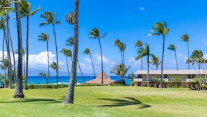 Een tropisch resort met palmbomen, een hut met rieten dak en een gebouw met plat dak.