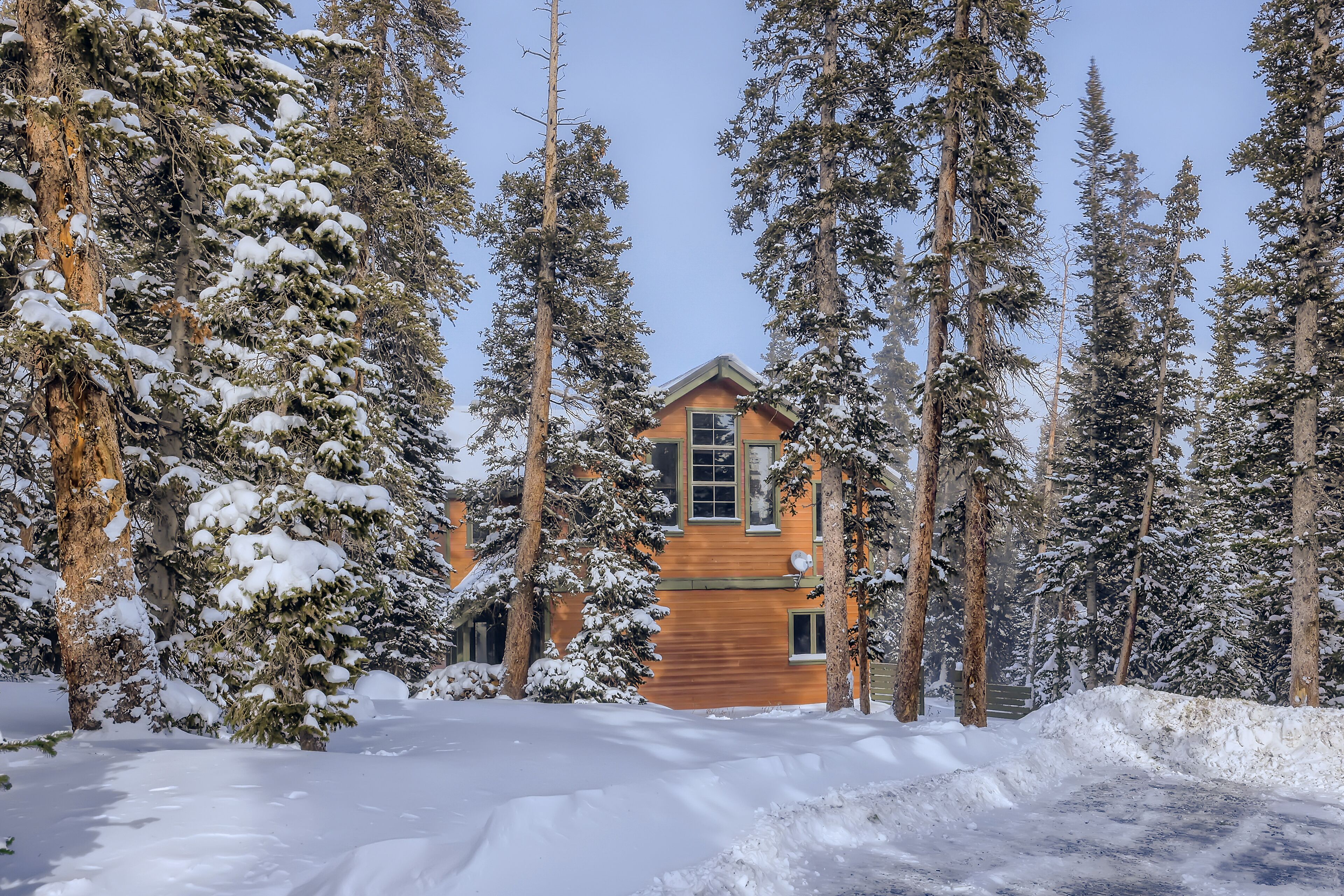 Beautifully updated home with fireplaces & washer/dryer - dog-friendly