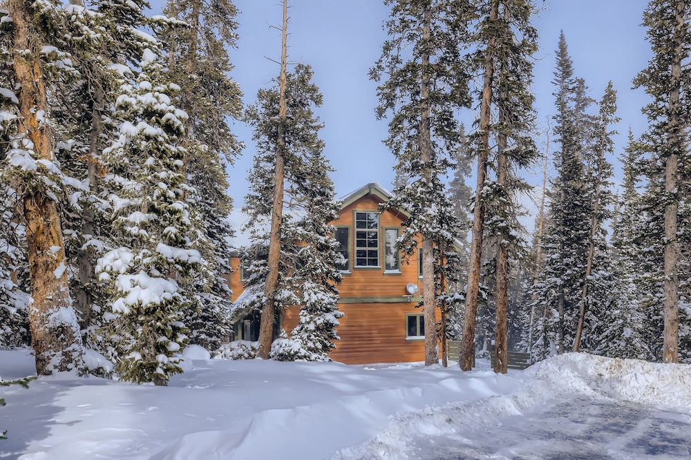 Beautifully updated home with fireplaces & washer/dryer - dog-friendly