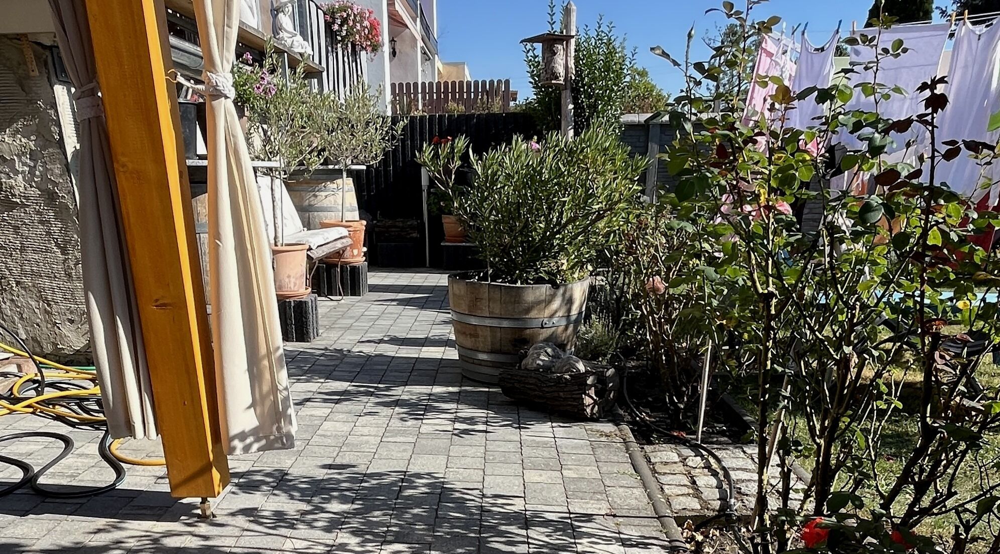 المنطقة المحيطة بالمنشأة