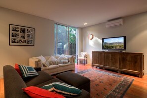 TV connectée, cheminée, lecteur de DVD, livres