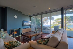 TV connectée, cheminée, lecteur de DVD, livres