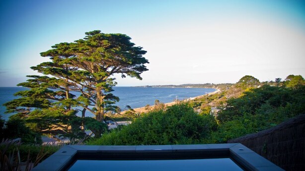 A pool with a view of the ocean and a large tree. -  Emanjay: Walk to Beach, Million Dollar Bay Views! Mineral Spa (Mount Martha)