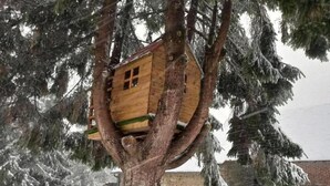 A treehouse attached to a large tree with a brick building in the background. - Charming renovated house with private terrace and garden (Rives-d'Andaine)
