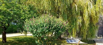Charming 6-Person Cottage Near Angers - Modern Comforts, Garden, Jacuzzi, and Family Activities