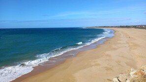 Playa en los alrededores, camastros y toallas de playa 