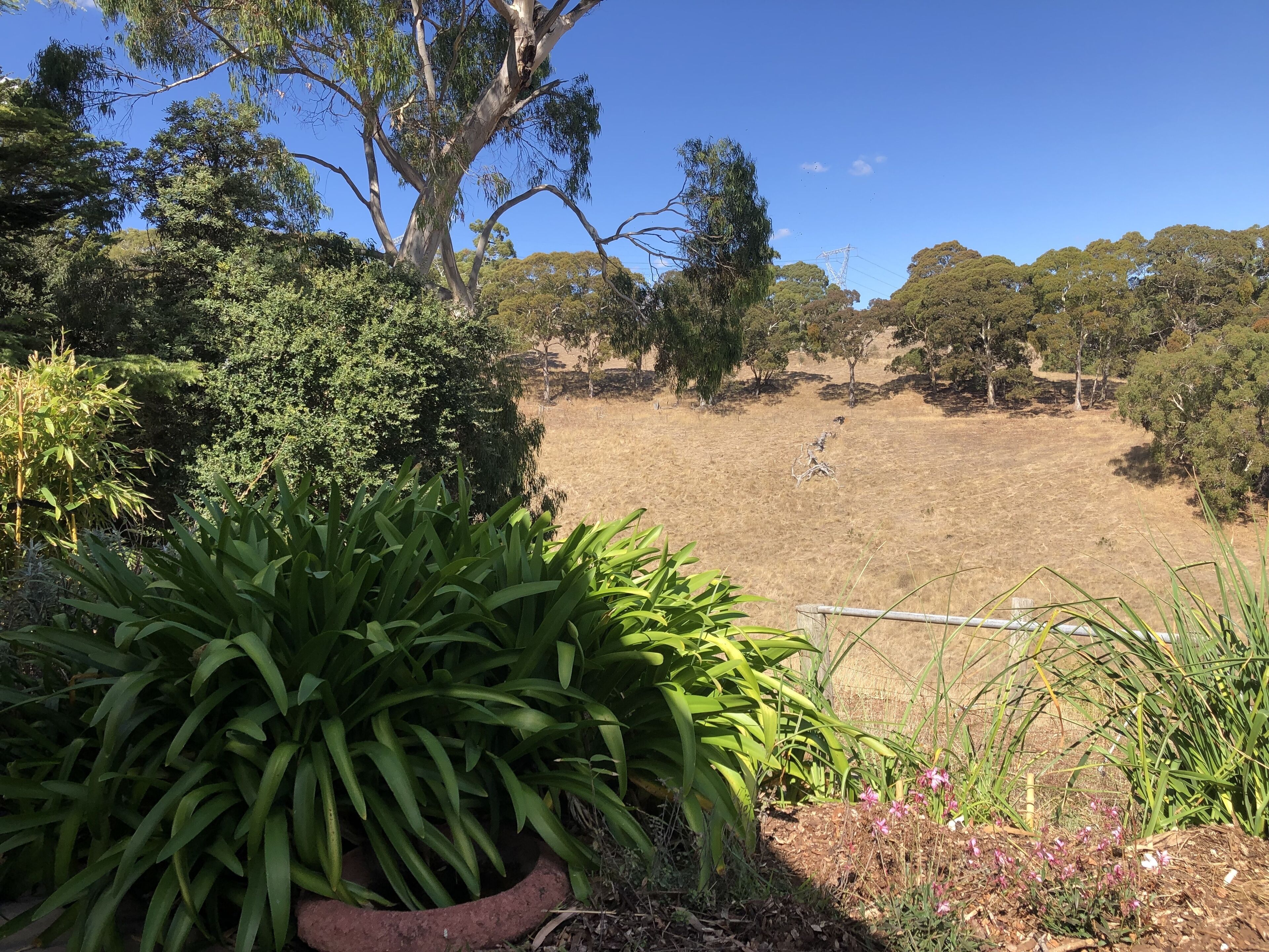 LUXURIOUS Gorgeous Cottage - In the Heart of Adelaide Hills — image 25