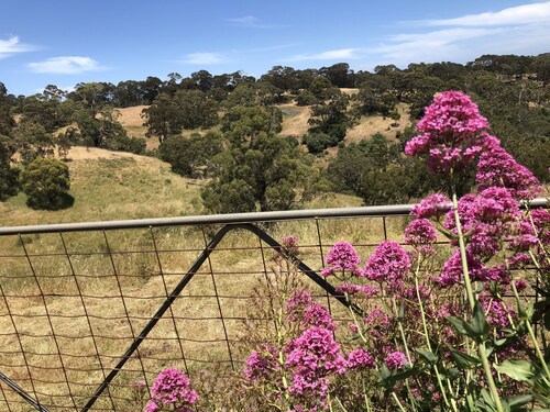 LUXURIOUS Gorgeous Cottage - In the Heart of Adelaide Hills