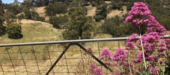 LUXURIOUS Gorgeous Cottage - In the Heart of Adelaide Hills