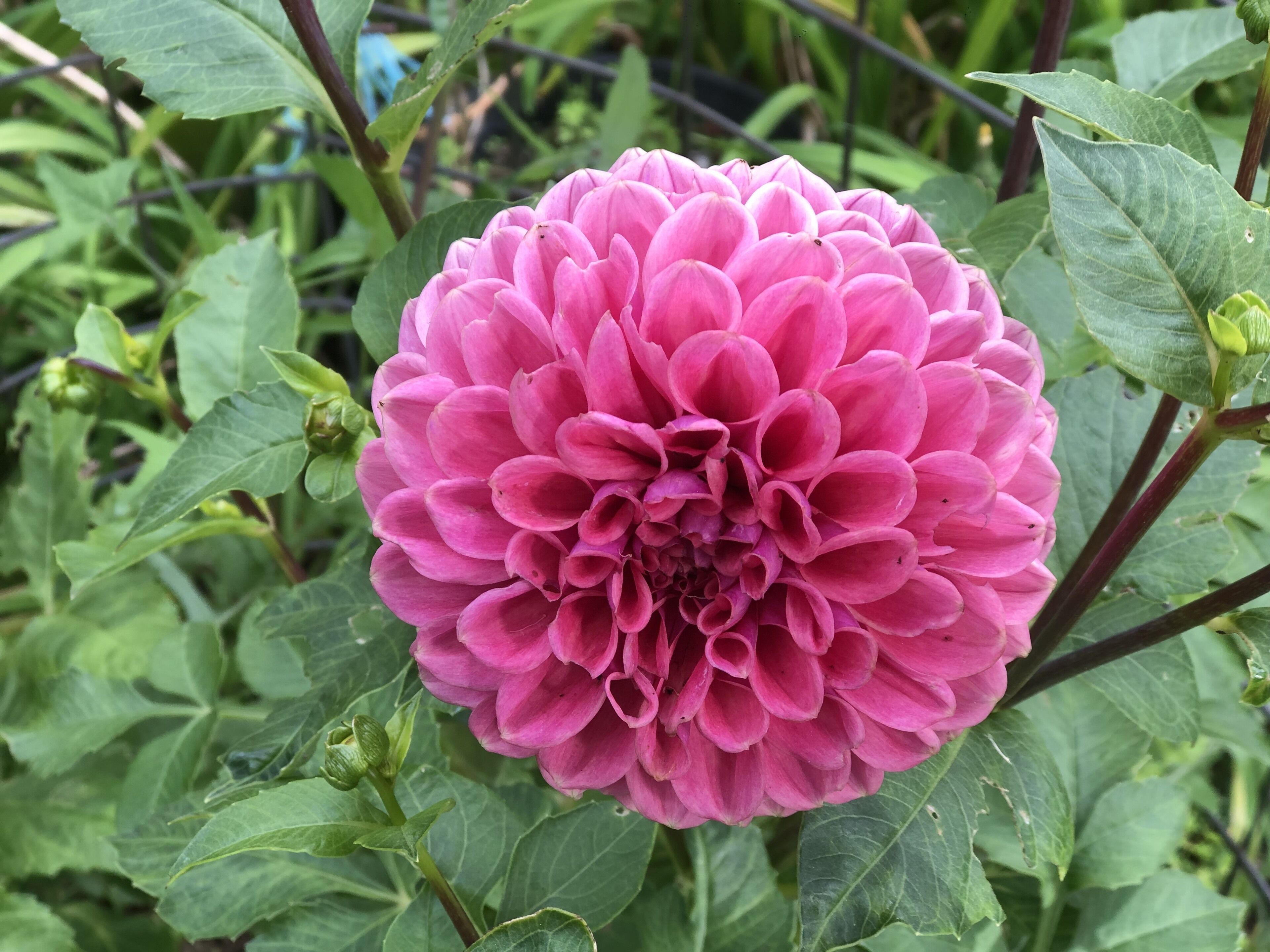 LUXURIOUS Gorgeous Cottage - In the Heart of Adelaide Hills — image 27