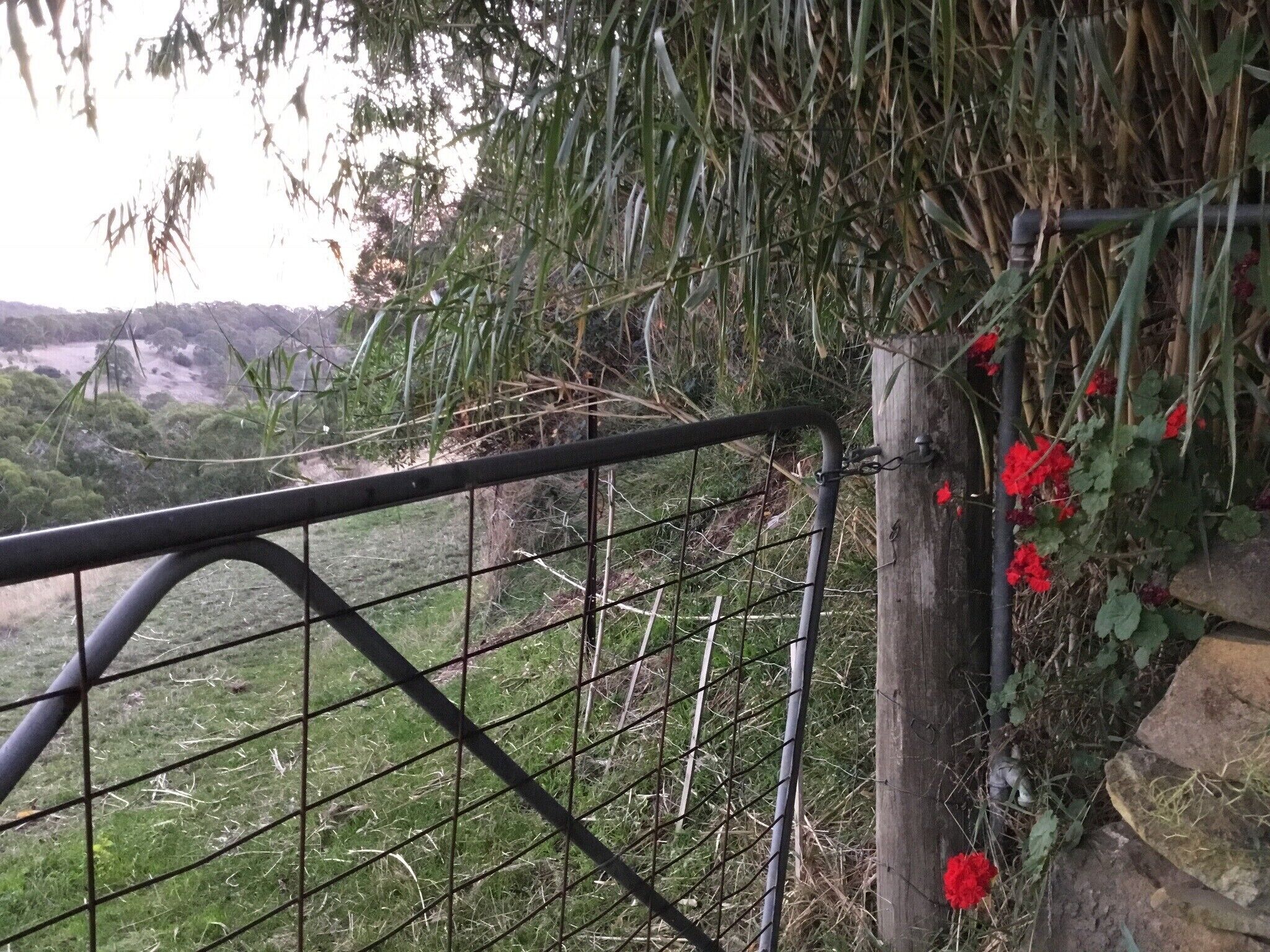 LUXURIOUS Gorgeous Cottage - In the Heart of Adelaide Hills — image 9