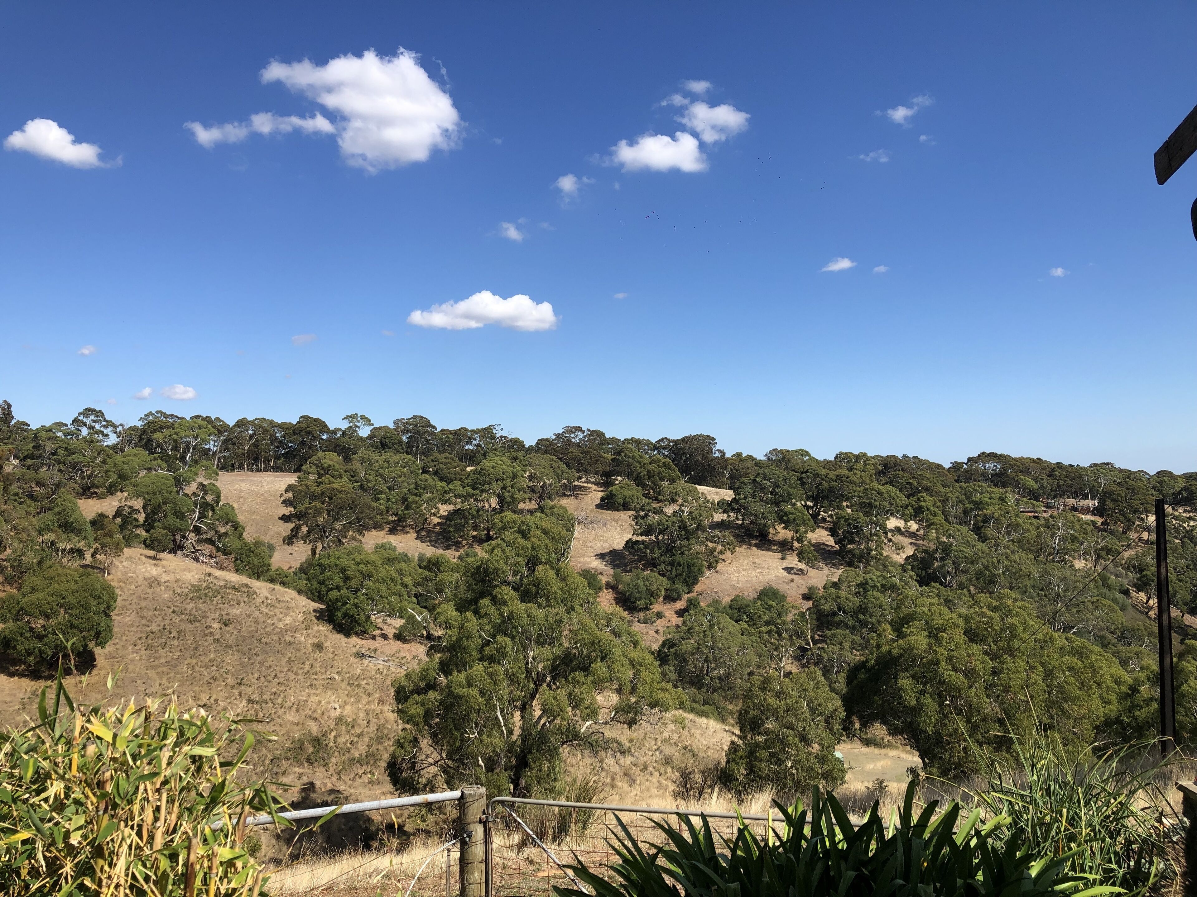 LUXURIOUS Gorgeous Cottage - In the Heart of Adelaide Hills — image 6