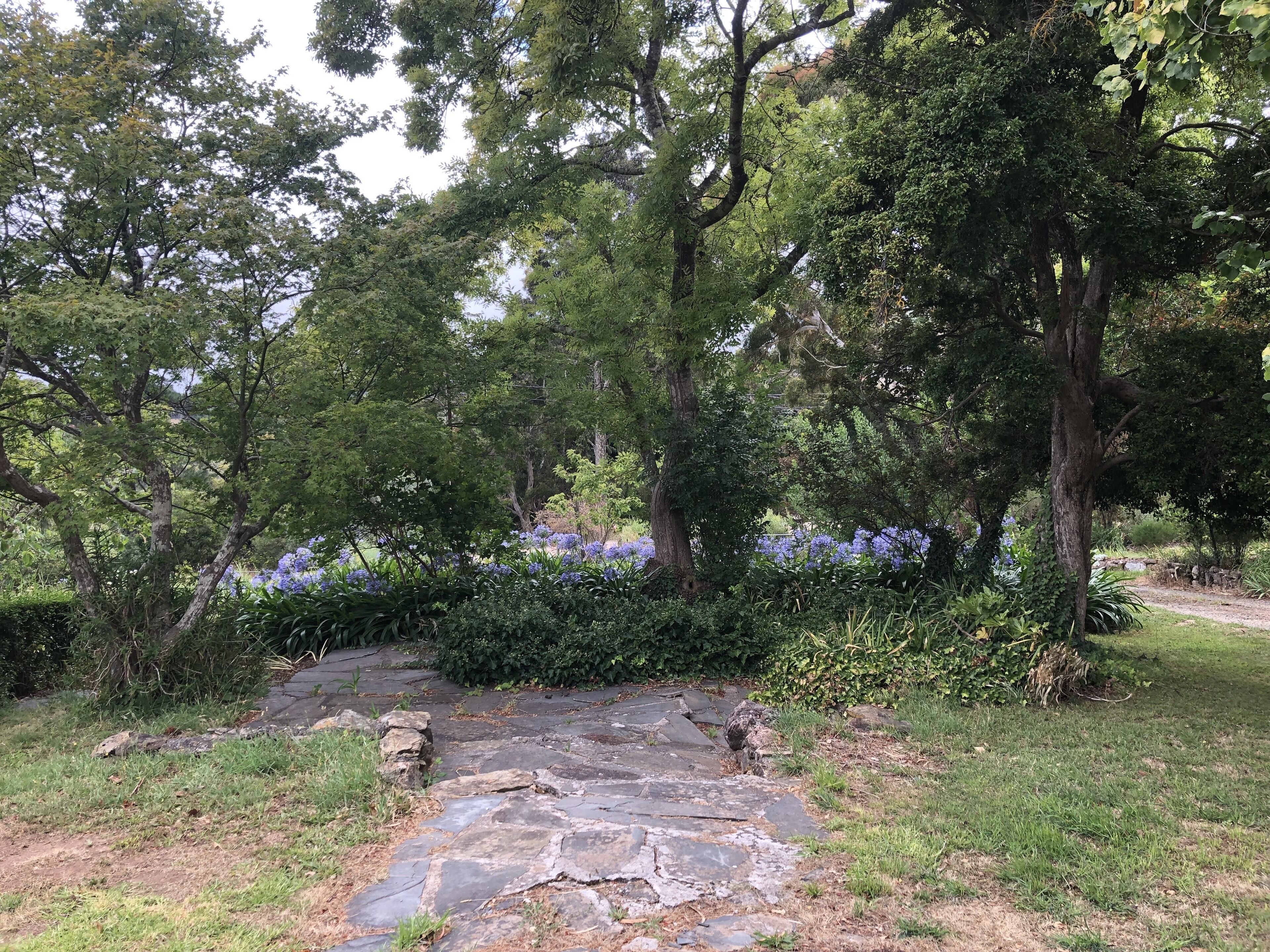 LUXURIOUS Gorgeous Cottage - In the Heart of Adelaide Hills — image 23