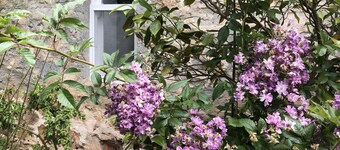 LUXURIOUS Gorgeous Cottage - In the Heart of Adelaide Hills
