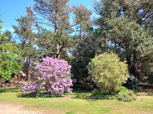 Maison au coeur du littoral de la cote de granit rose