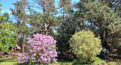 House in the heart of the pink granite coastline