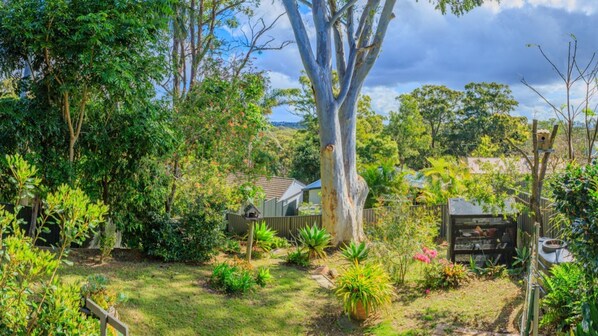 A lush garden with a variety of plants and trees, a wooden fence, and a small shed.