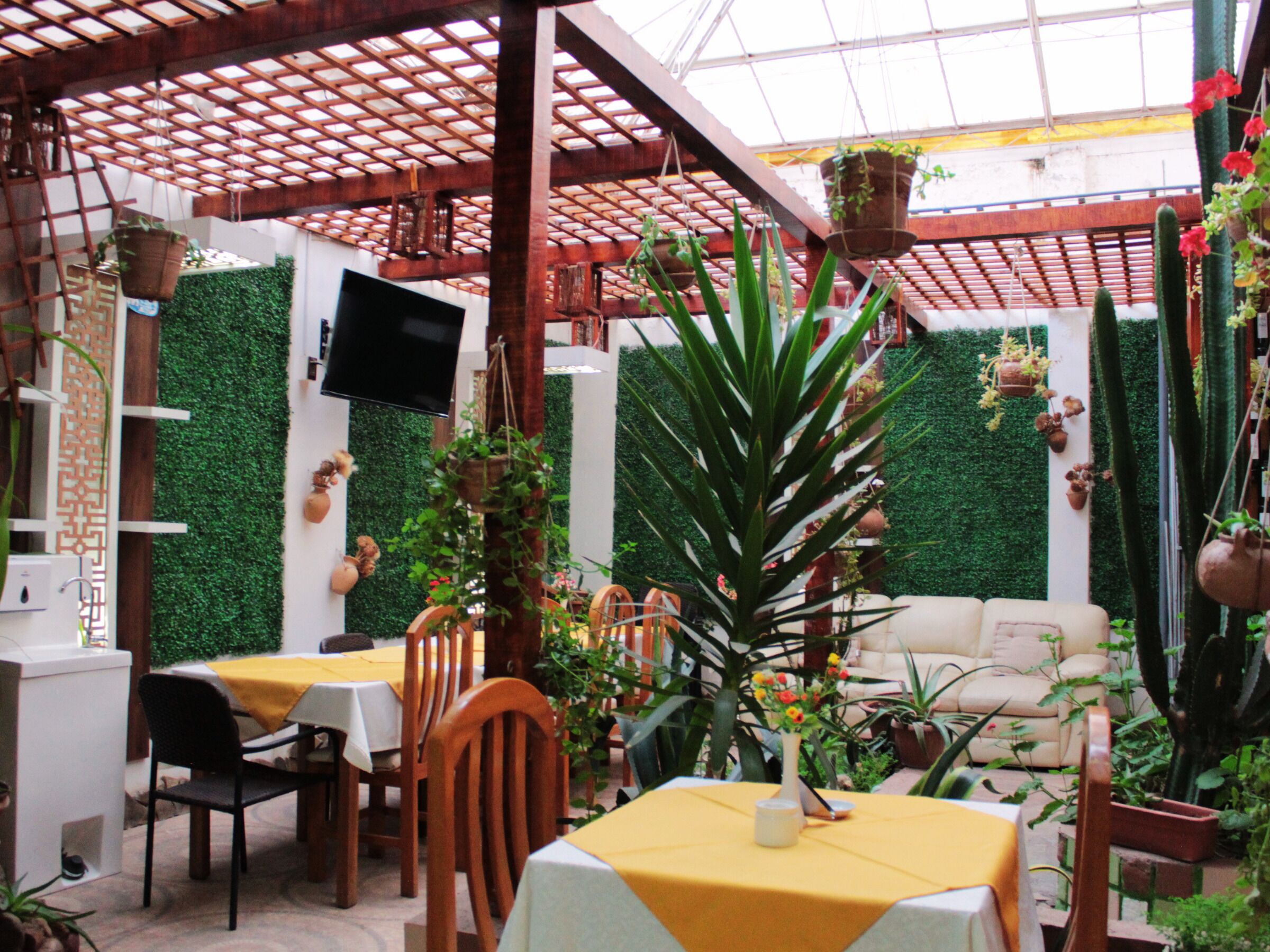 An indoor garden with a table and chairs, a sofa, and various potted plants.