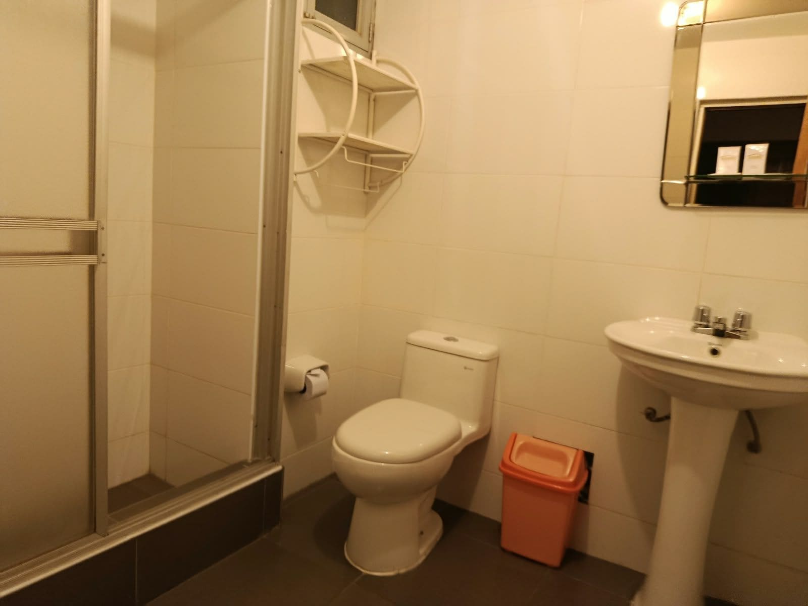 A bathroom with a toilet, sink, and a trash bin.