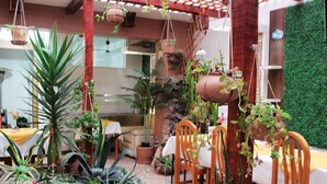 Garden - KAARO HOTEL SUITE (Puno)