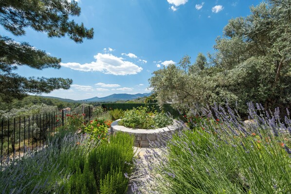 A garden with a stone pathway, various plants, and a fence. - Olive Hills Villa Family-Friendly Luxury Villa with Private Pool in Fethiye (Fethiye)