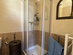 Shower, hair dryer, soap, toilet paper