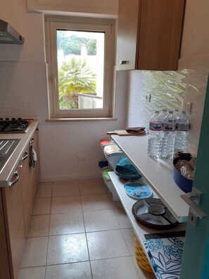 Fridge, oven, stovetop, cookware/dishes/utensils