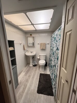 Shower, hair dryer, towels, soap - Pool Home close to IRB and Walsingham Park (Largo)