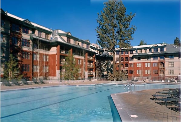 Relax by the pool surrounded by lush greenery and lounge chairs.