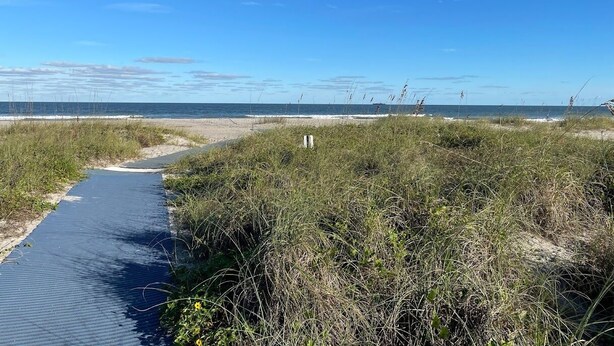 A coastal pathway leading to a beach with a clear sky.