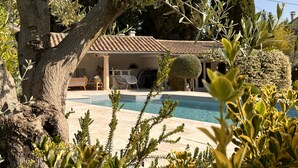 A villa with a swimming pool, surrounded by olive trees and a well-maintained garden. - Mazet des Bambous swimming pool Saint Rémy de Provence (Saint-Rémy-de-Provence)