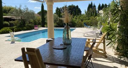 Mazet des Bambous swimming pool Saint Rémy de Provence