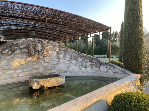 Mazet des Bambous swimming pool Saint Rémy de Provence