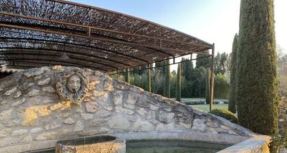 Mazet des Bambous swimming pool Saint Rémy de Provence