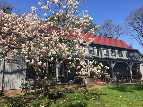 Exterior - Beautiful vacation apartment with a view of the Steinhuder Meer (Neustadt am Rübenberge)