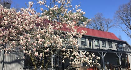 Beautiful vacation apartment with a view of the Steinhuder Meer