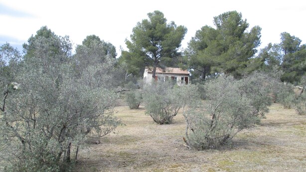 A rustic building surrounded by olive trees in a dry, open landscape. - Country house in the heart of nature (mouriès)