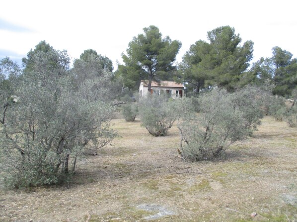 Áreas de la propiedad