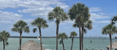 室外游泳池,恒温泳池