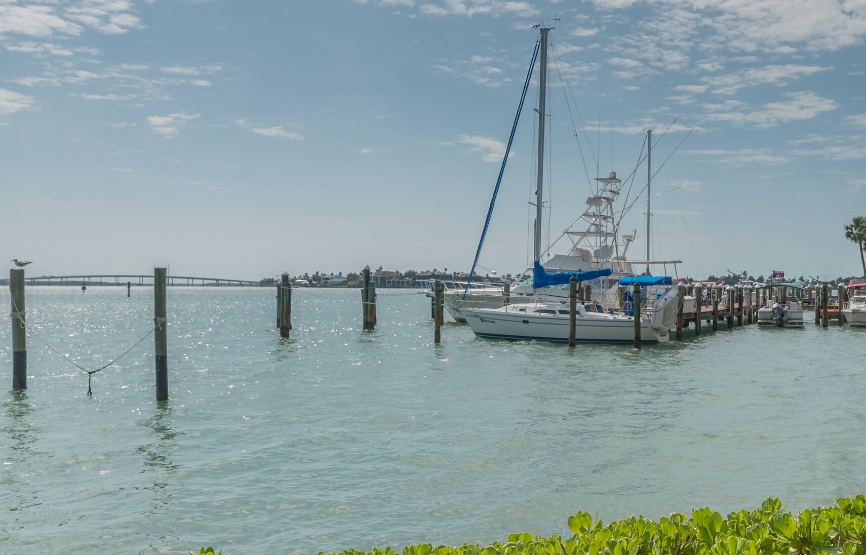 A marina with boats docked, a pier extending into the water, and a clear sky.