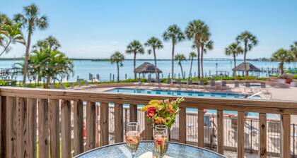 🛥️ 👀 Boat Watchers Paradise ☀️ w\ a Side of Dolphins🐬