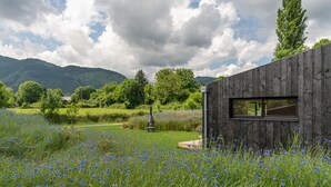 A rustic wooden cabin with a large window, surrounded by a lush meadow with blue flowers, set against a backdrop of mountains and a cloudy sky. - ICI - Tiny house 40 m2 for 4 people (Arette)