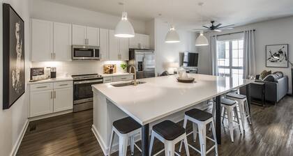 Brand new 4 BR, 4Bath Townhome with amazing rooftop!